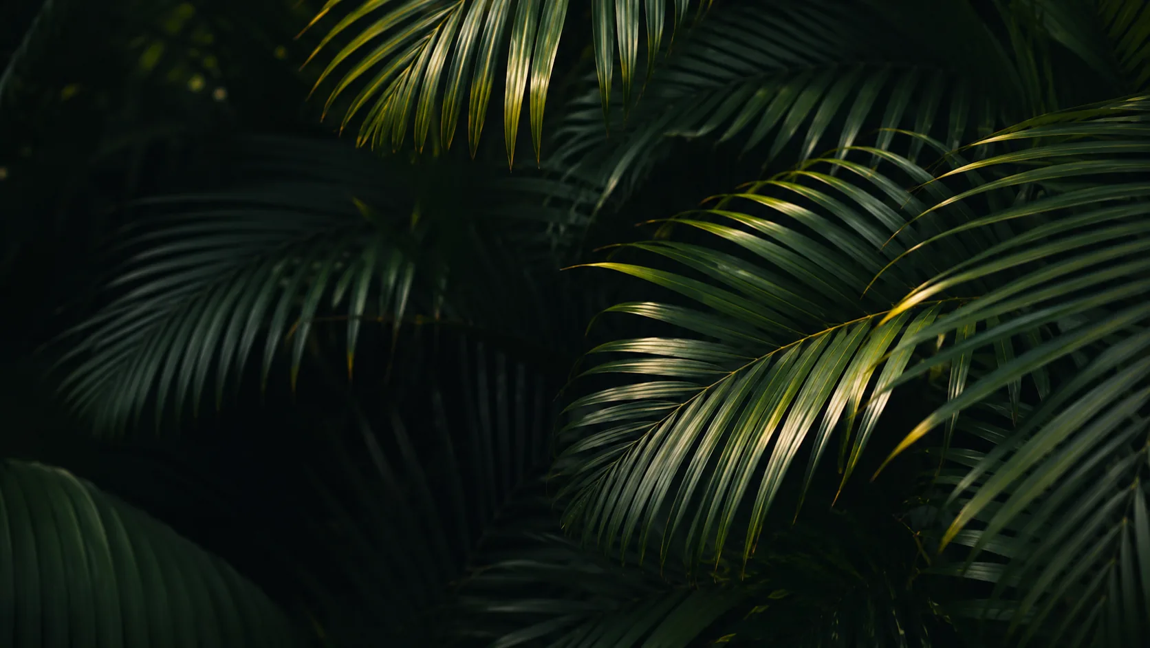 Koh Samui